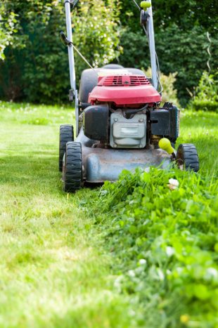 lawn mowing mowing the lawn in my garden